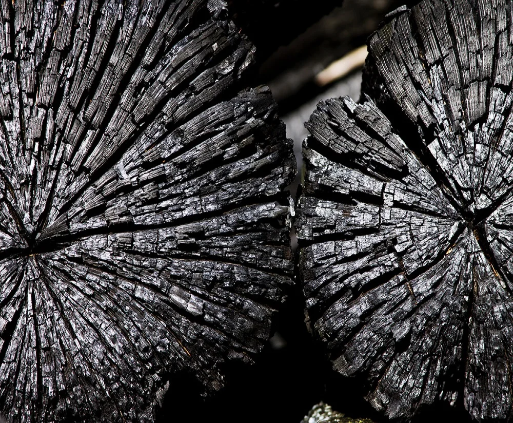 Compressed and stick charcoal for industrial and house use