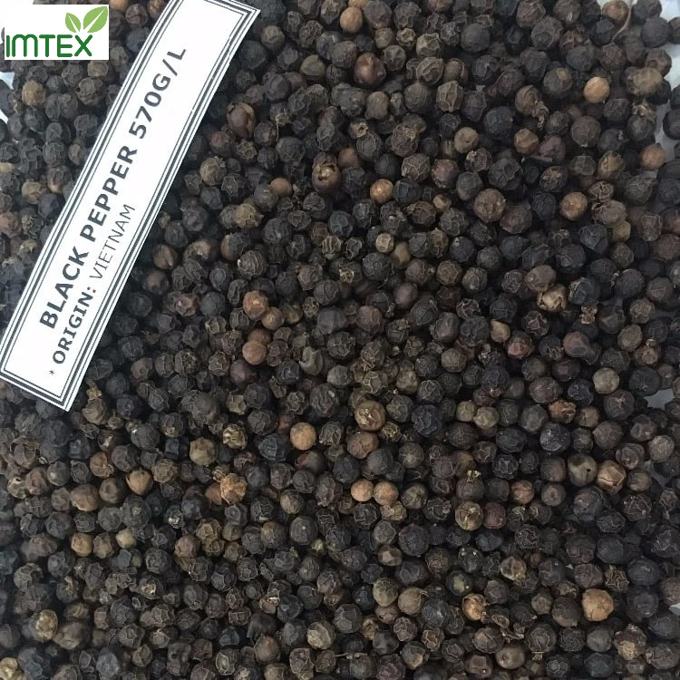 Black Pepper 550 Gr/L High Quality