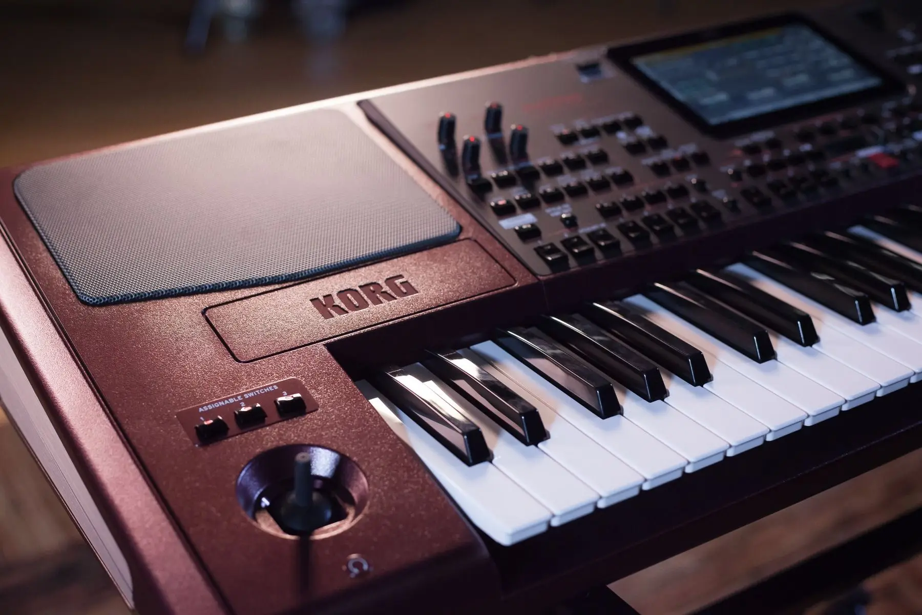 New Korg PA1000 PA800 PA700 PA600 61-Key Professional High Performance Arranger PA-1000
