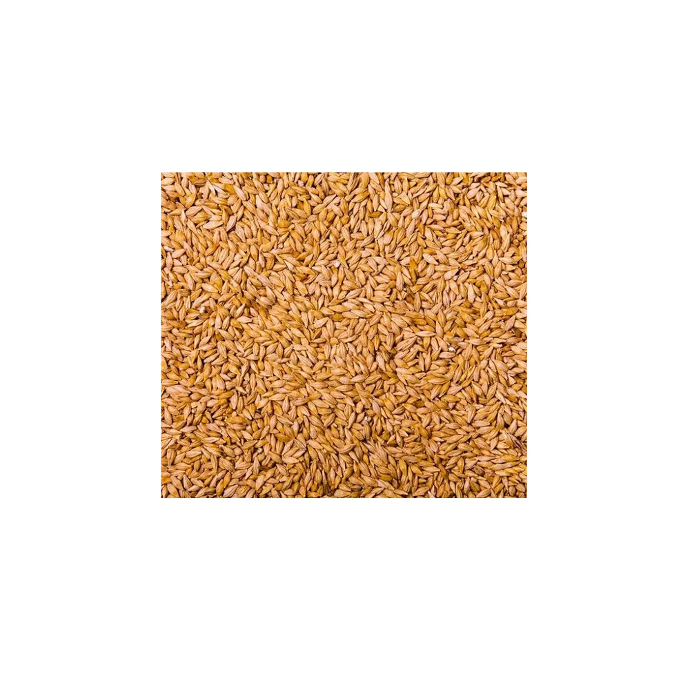 Ячменные зерна семена ячменя корма для животных