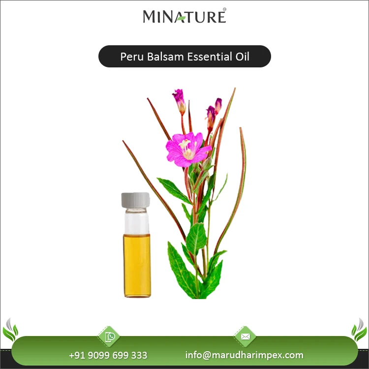 Indian Supplier Selling Bulk Supply 100% Natural and Organic Peru Balsam Essential Oil with Two Year Shelf Life