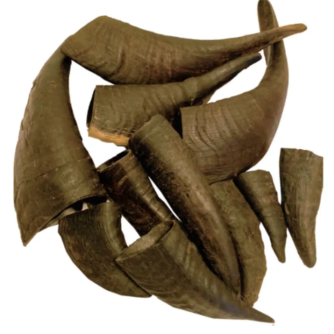 Organic Free Range Goat Horn Dog Chew Treats Natural Unpolished Sheep Ram Horns Environmentally Friendly Rope Style Toy for Dogs