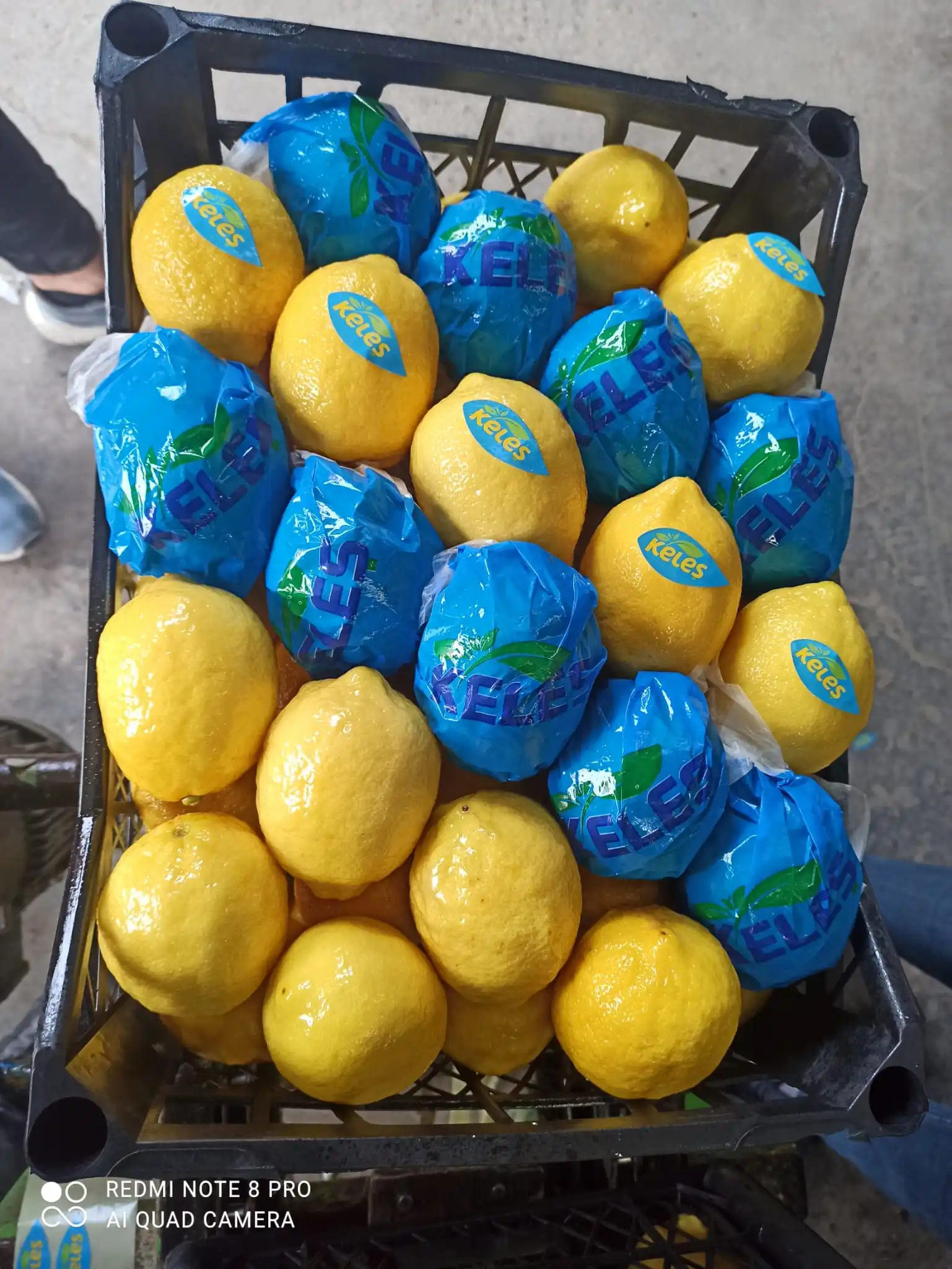 LEMON SOUR JUICY TURKEY WHOLESALE FRESH HIGH QUALITY LEMON LIME FRUIT FRESH LEMONS FOR SALE AGROWELL TURKISHGOODS