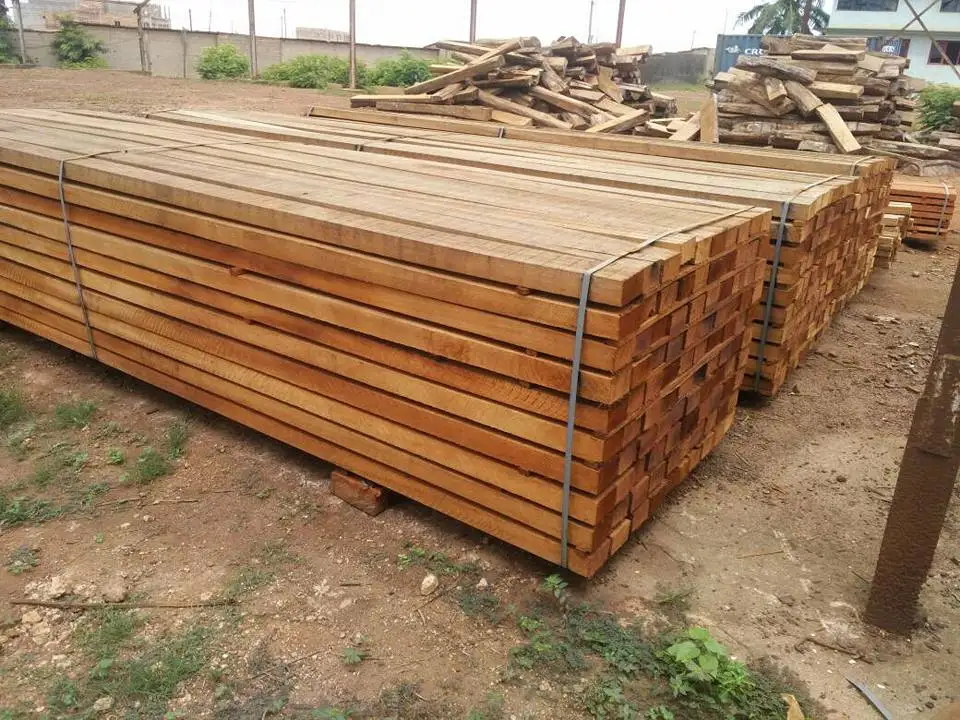 Timber Raw Materials & Logs Wood For Sale