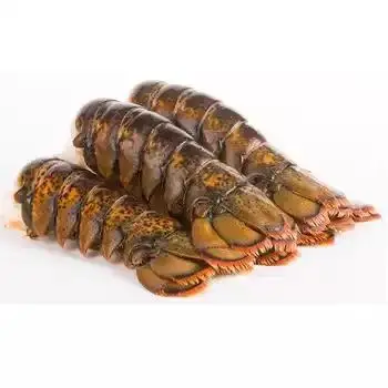Premium Seafood Fresh and Frozen Lobster, Lobster Tails For Sale..