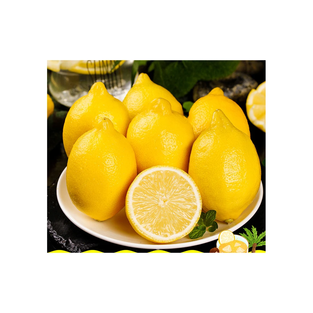 High-Quality Wholesale Fresh Lemon Fresh Fruit Organic Lemon Direct Selling Available At Reasonable Prices