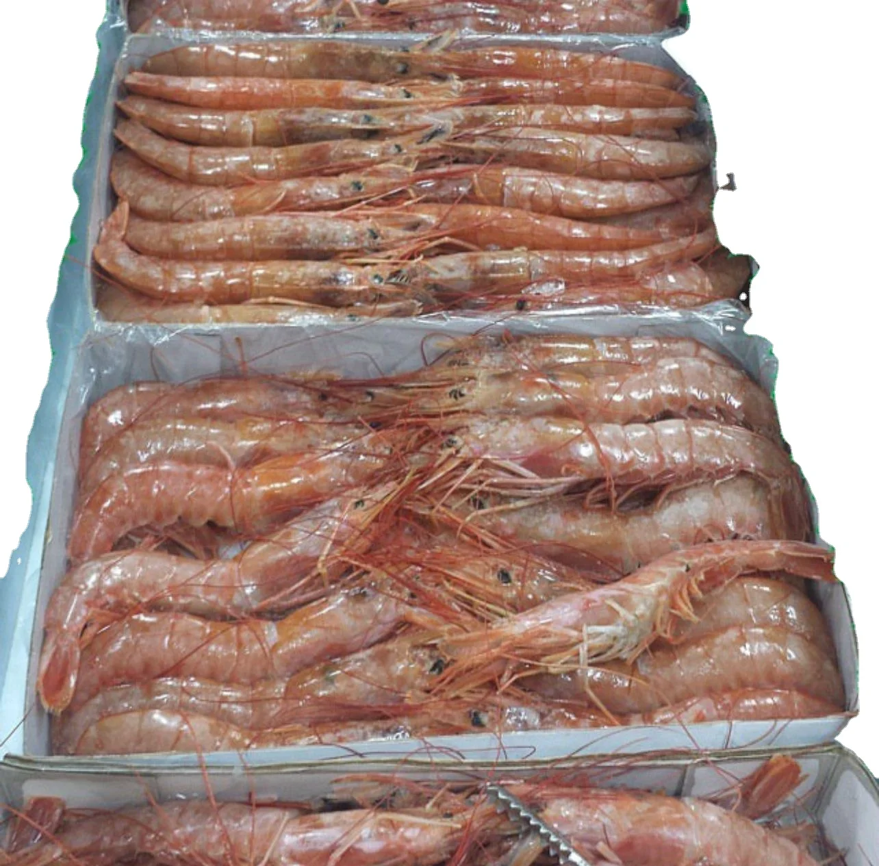 Buy Frozen Fresh Shrimp from Vietnam Bulk Style Vacuum PacK White/Black Tiger Prawn for sale at cheap prices Buy Frozen Shrimps