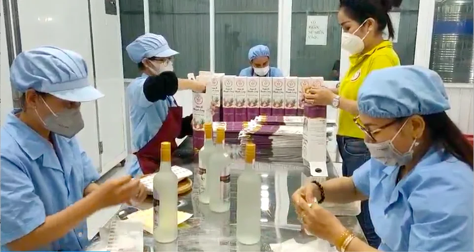 High Grade Dried Fruit Wholesale Freeze Dried White Dragon Fruit Best Price For Exporter Delicious And Healthy Snack