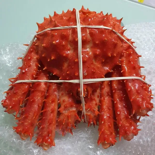 Live and Frozen King Crab for sale, Live/Frozen, RED King Crab, Alaskan King Crabs