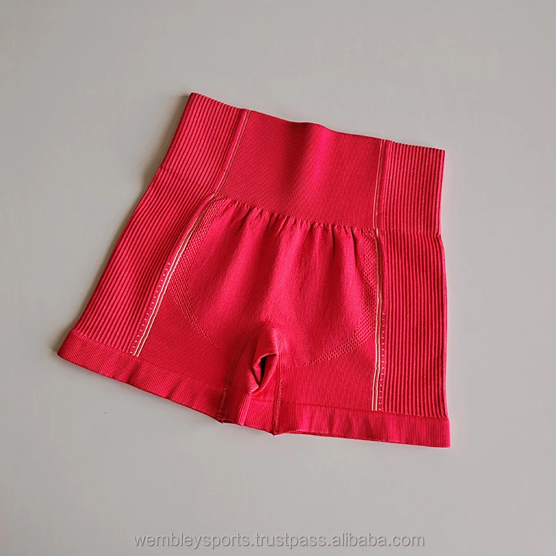 Quick Dry Women Gym Shorts Sport Biker Shorts Women High Waisted Short Leggings Ladies Biker Workout Shorts