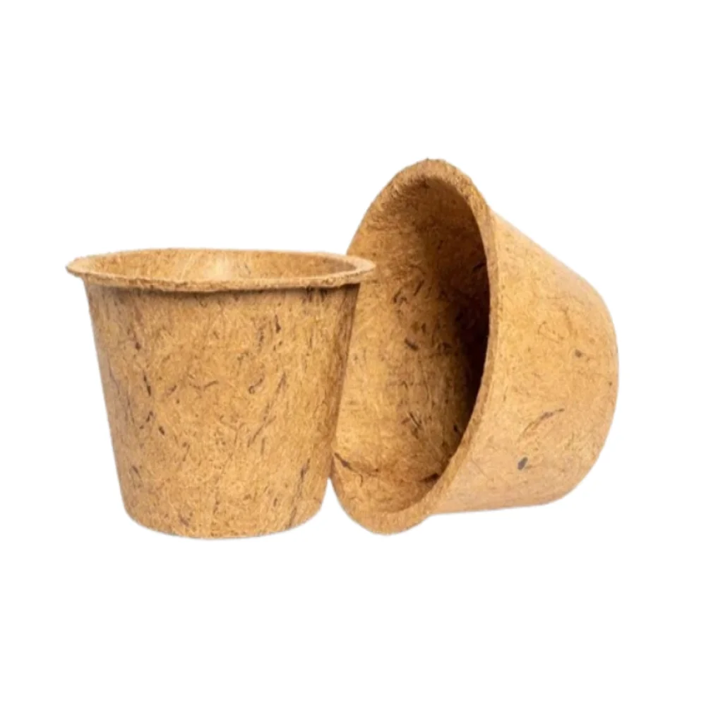 Reasonable Prices 6' Dia Resin Coir Pot Along with 2 Ply Yarn for Hanging Uses Pot Manufacture in India
