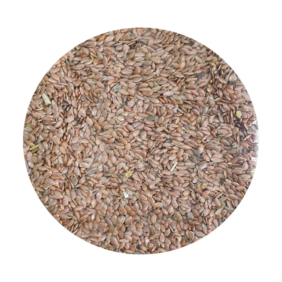 Flax seeds in bulk manufacturer prices flax seeds linseed for sale