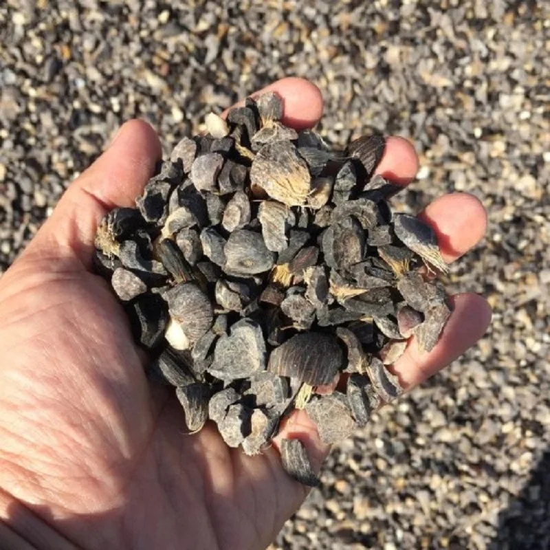 TOP Quality Palm Kernel Shell (PKS)/Coconut Shell/Palm Kernel Shell Charcoal for export .