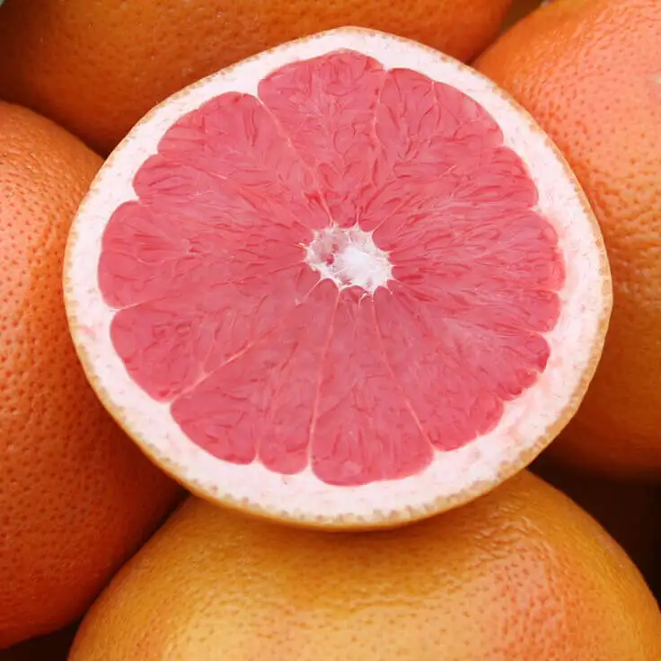 Quality Grapefruit for sale