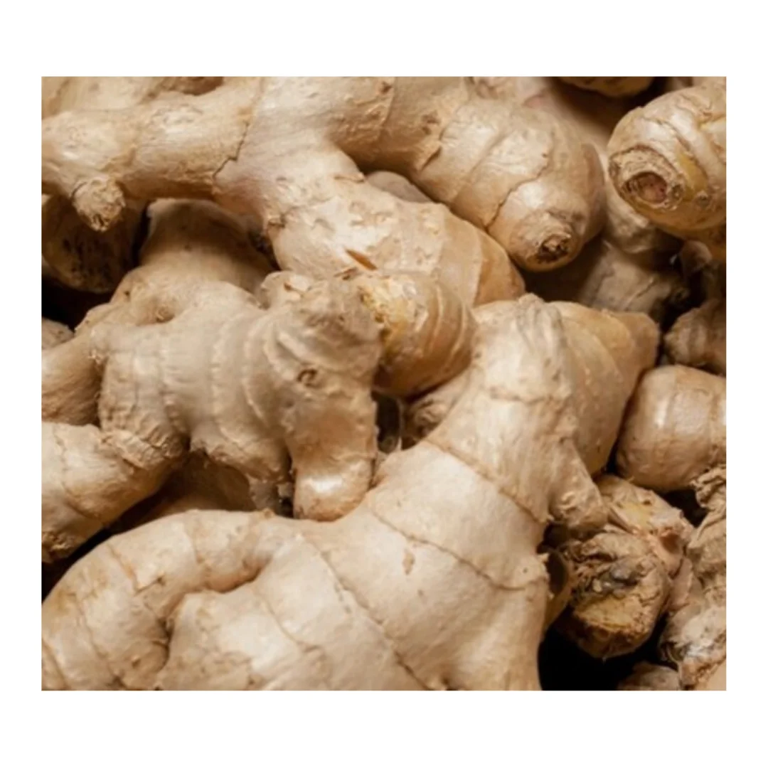 Wholesale Price Light Yellow Fresh Ginger Or Dried Ginger With Natural Spicy Taste Plant Directly