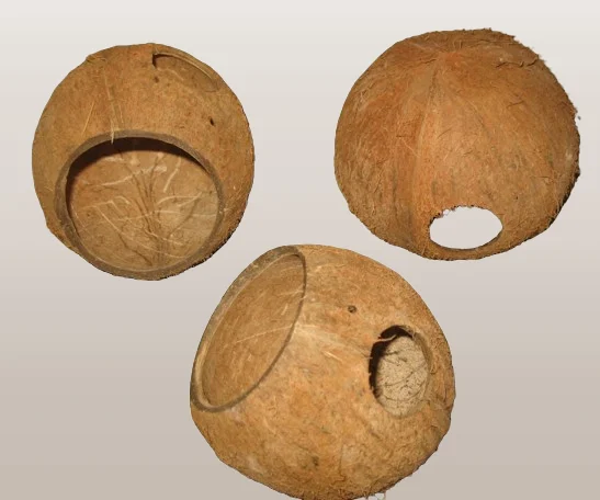 Coconut Three Quarter Shell Hideout terrarium product for reptiles and amphibians Designed to withstand high moisture levels