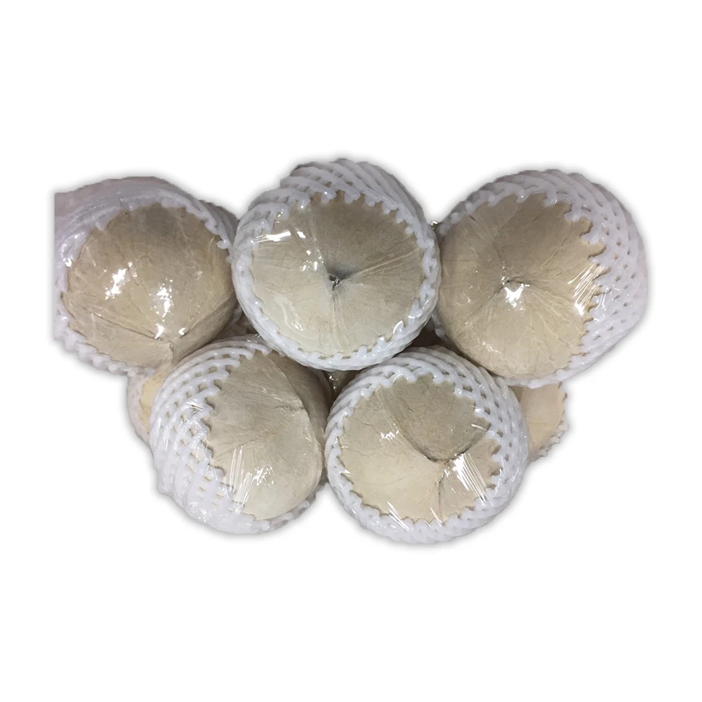 Premium Fresh Coconut from Thailand 100% Natural Premium Grade of Fresh Coconut The Best Seller