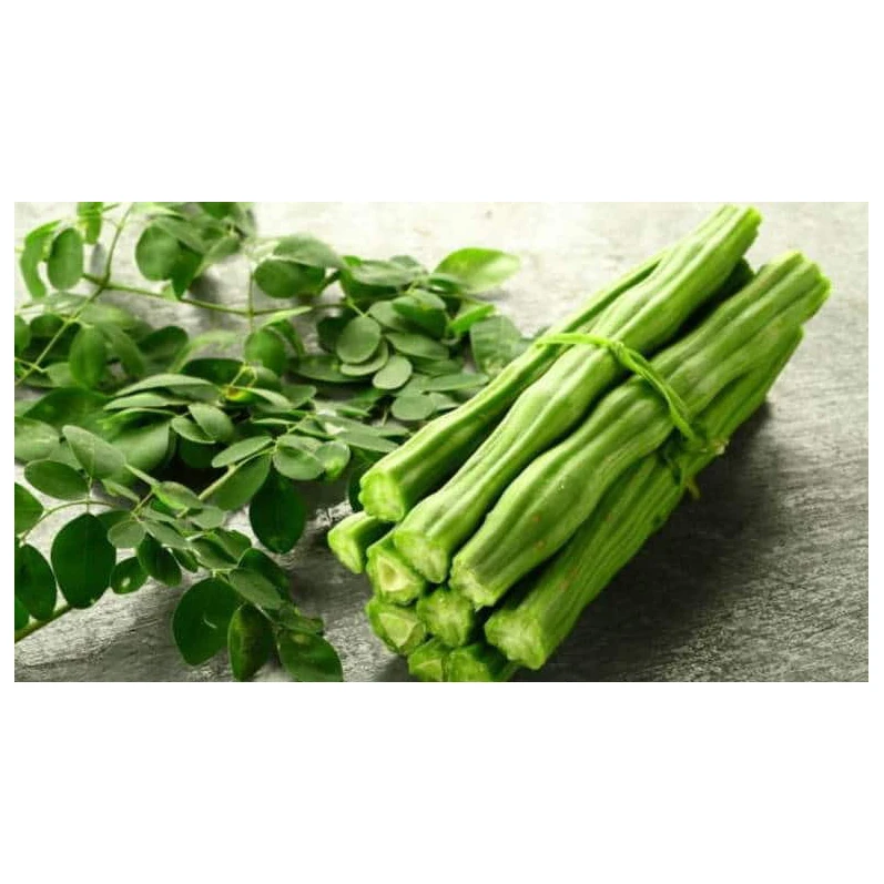 Vegetable DRUMSTICK Organic Factory Supply Fresh Crops Low Cost Price Fresh for sale 100% Fresh Moringa Drumstick Vegetable