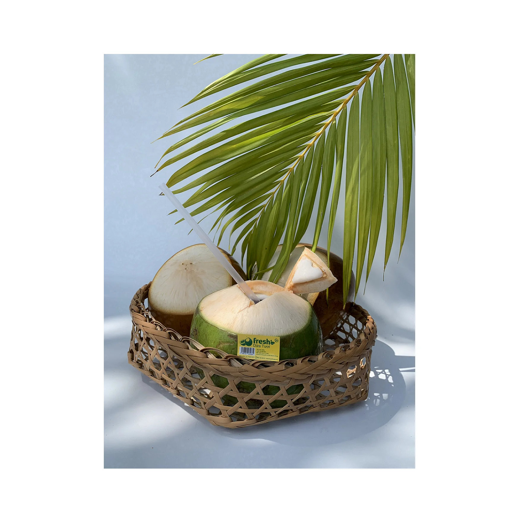 GTJ Fresh Wholesale Cling Film Wrap Agriculture High Nutritional Safety Pulf and Shell Part Clean Fruit Juicy Coconut