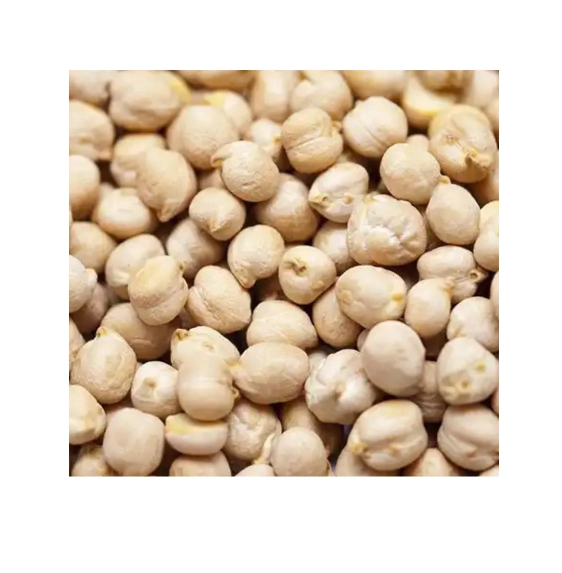 Best Manufacturing Roasted Chick Peas Deci Bulk Ready-to-Eat Boiled Wasabi Chickpeas Kosher Certified Wholesales Bulk Dried
