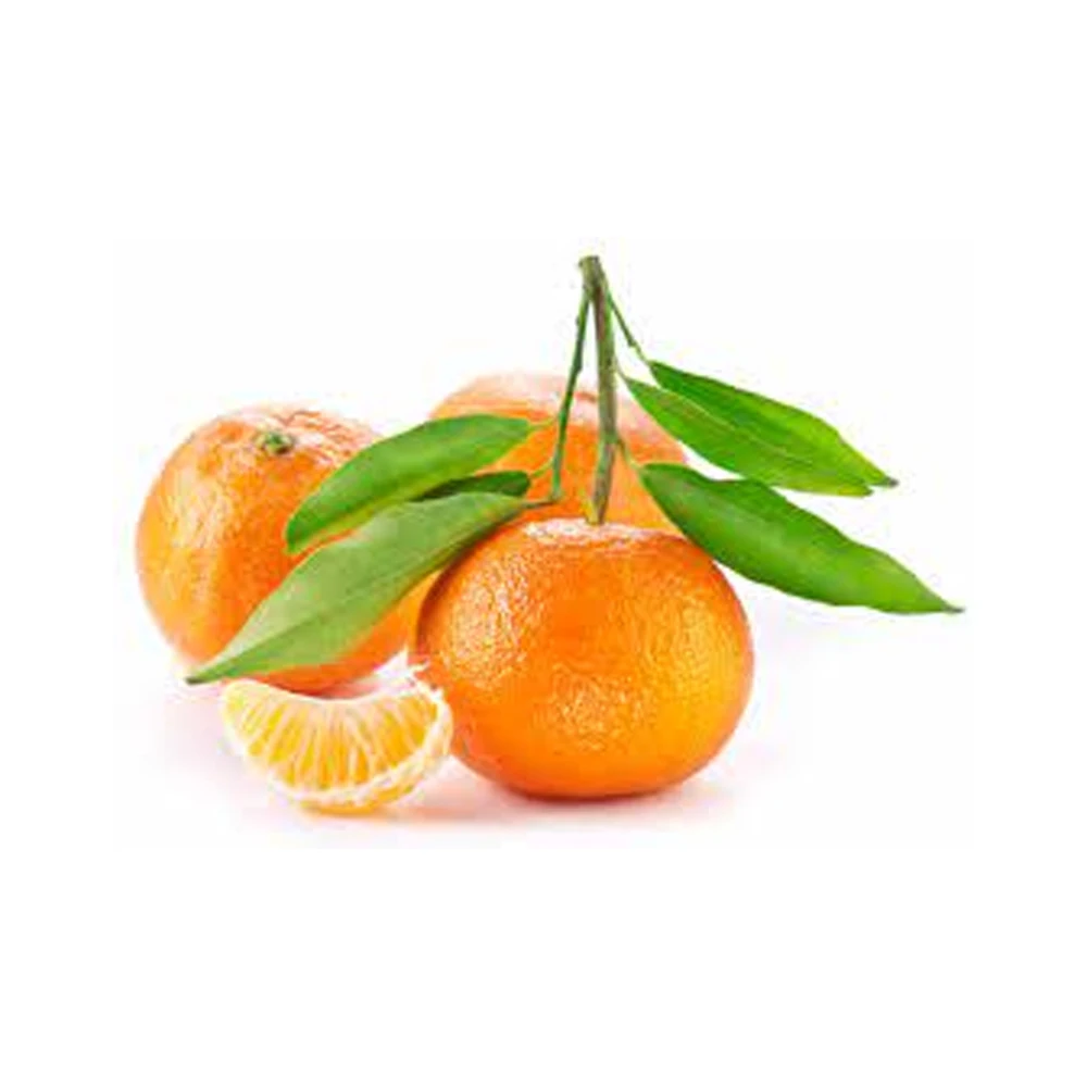 Wholesale Price Fresh Sweet Orange From Indian Exporter