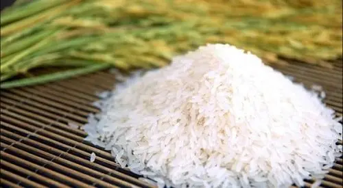100% BROKEN RICE HIGH QUALITY WHOLESALE