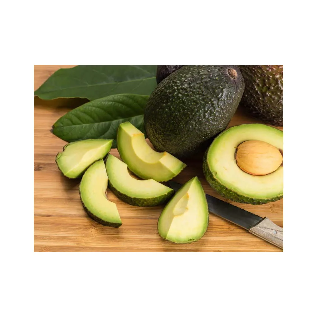 Fresh Avocado For Worldwide Export - Fresh Avocado at Best Price for Wholesaler