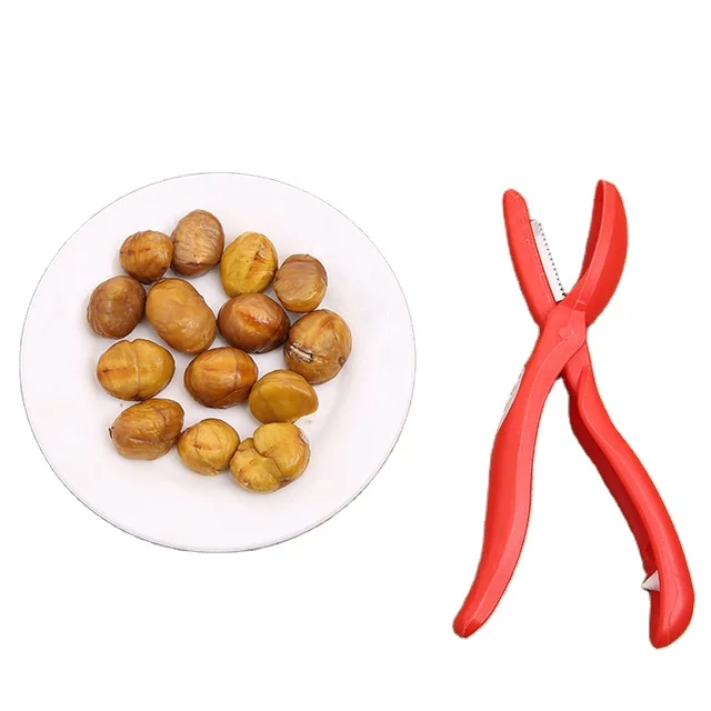 Bulk Stock Available Of Dried Ginkgo Nuts At Wholesale Prices