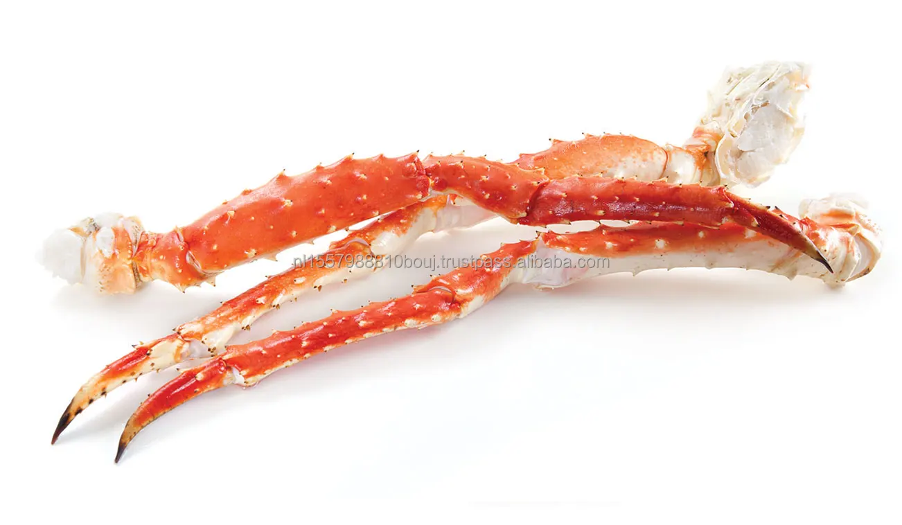 Red king crab 4.jpeg