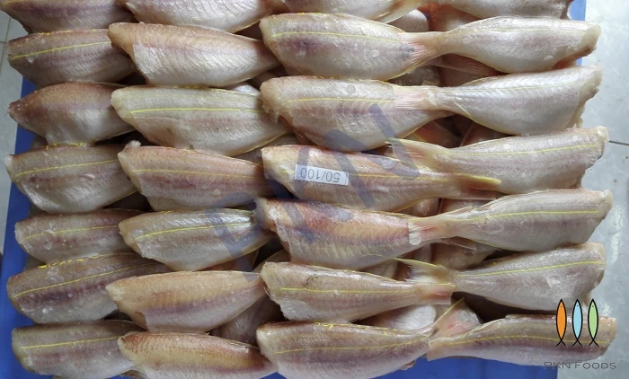 Best Price Good Quality Grade Manufacture Feature IQF Variety Frozen sea fish Threadfin Bream from Vietnam