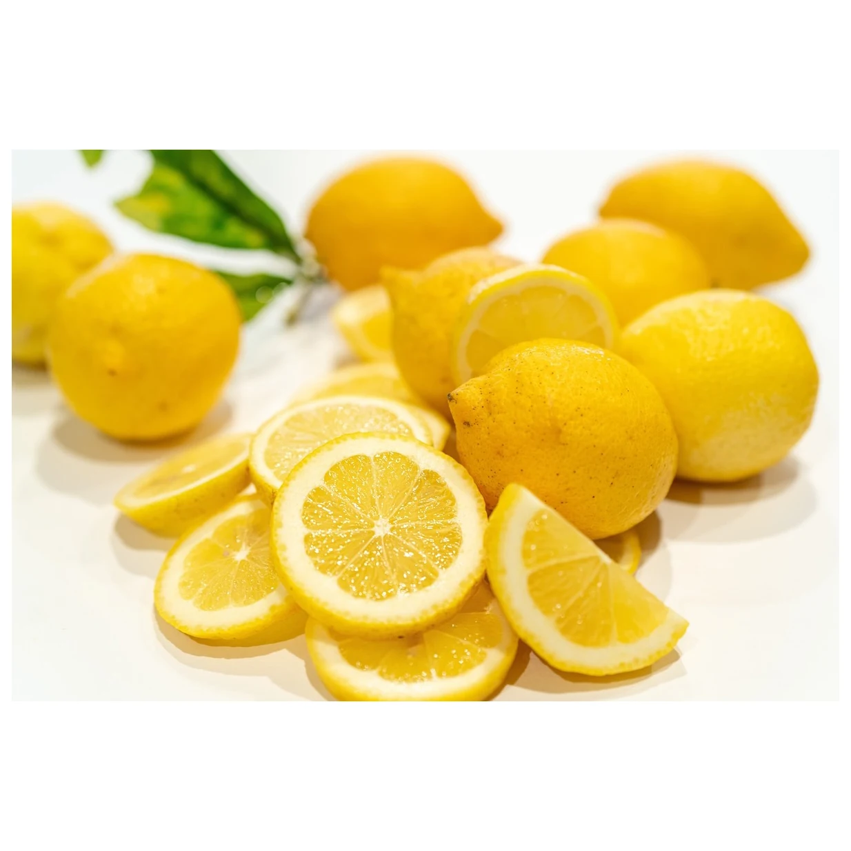 FRESH LIME /FRESH CITRUS FRUIT/ FRESH GREEN LEMON High Quality With Best Price At  Factory Ready To Export