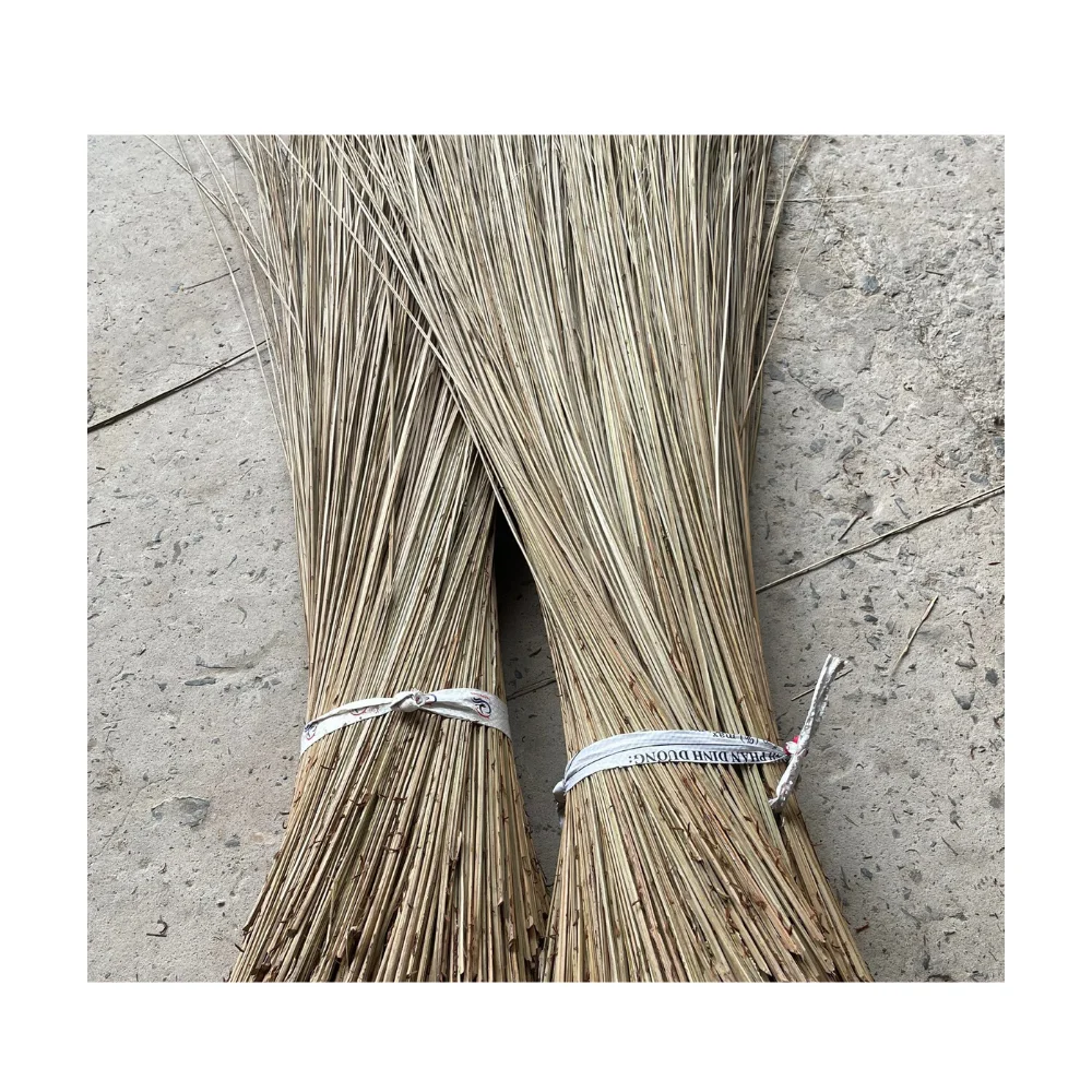 NATURAL COCONUT BROOM STICK NIPAH GRASS BROOM STICK AT BEST PRICE / READY FOR EXPORT FROM 99 GD
