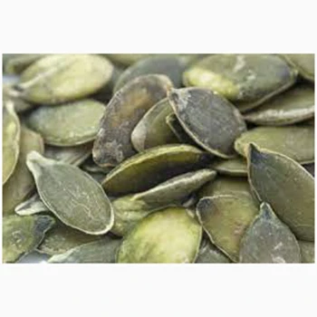 High quality Reasonable price Pumpkin Seeds Kernels Best material