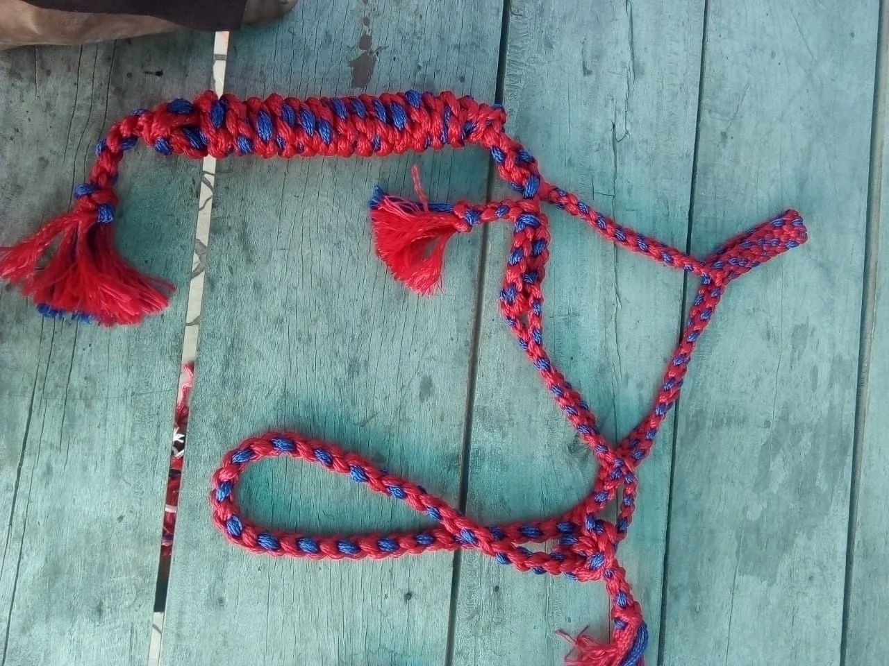 100% Original Material horse Halter with Lead Rope Horse Nylon Halter High Quality Latest Designs with custom logo