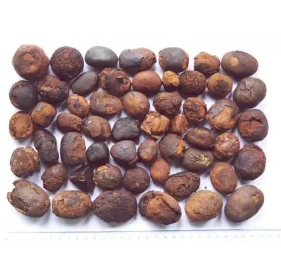 Top Quality Gallstones ox cow bezoar ox gallstones Animal feed