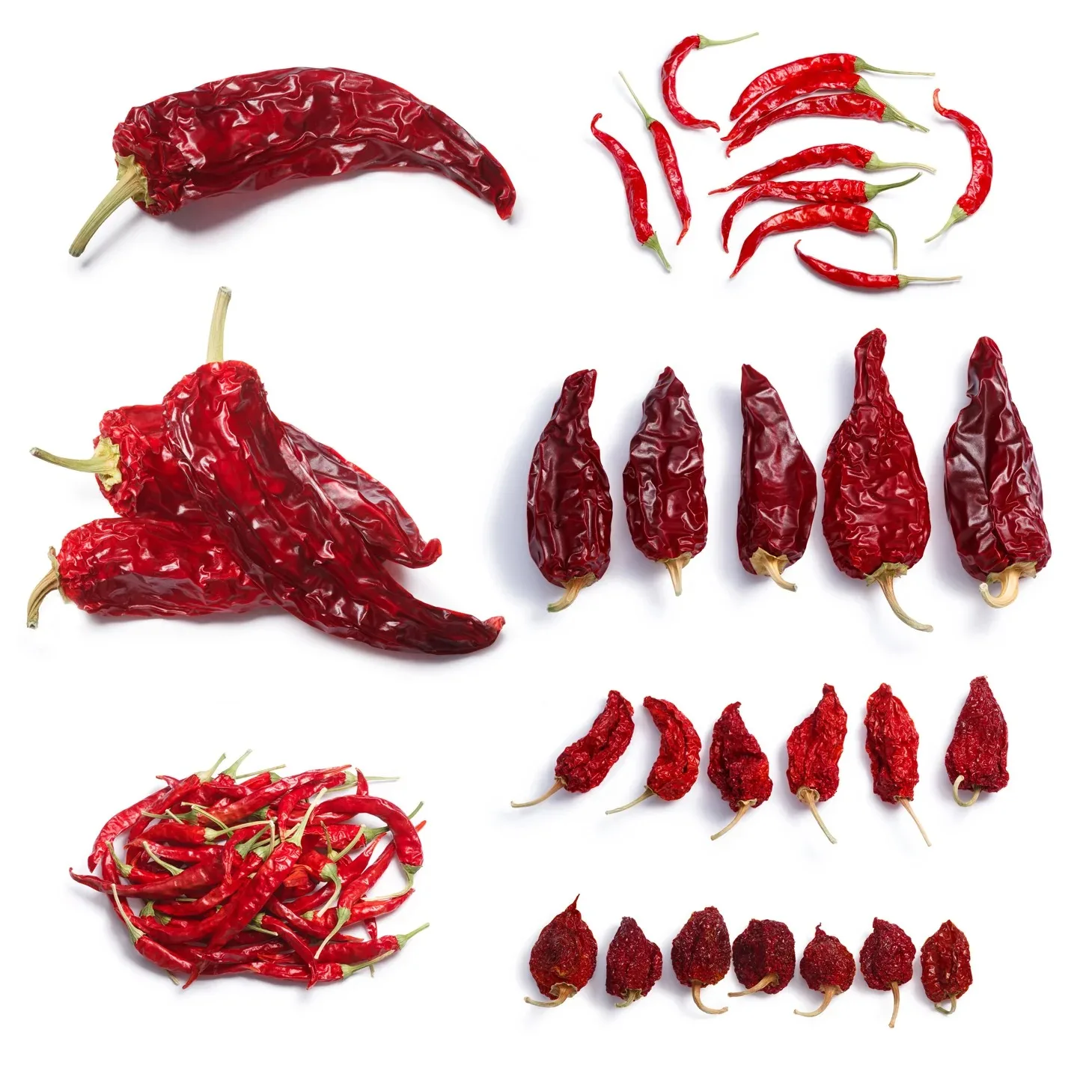 Factory Spice Supplier Wholesale Dried/Dry Red Chili Pepper | Fresh Red Chili Pepper | Pure Capsaicin