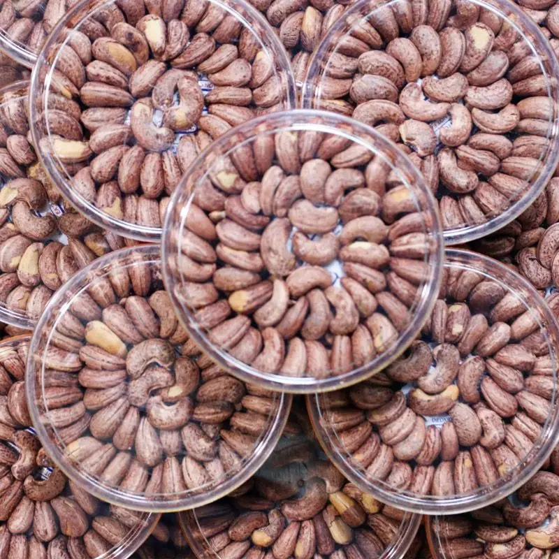 PREMIUM SALT ROASTED CASHEW NUTS INTERESTING and NUTRITIOUS SNACKS GOOD PRICES for WHOLESALE FROM VIETNAM