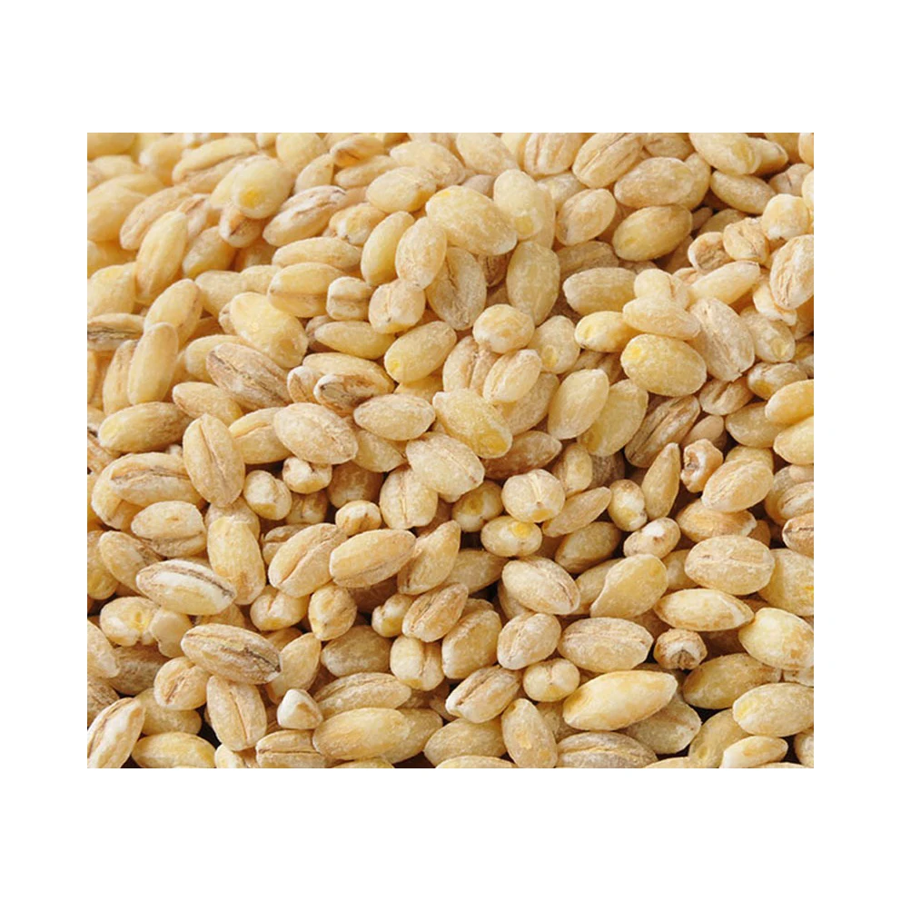 Best Brand Barley Grain Alcohol Beer Production/ Purchase Barley Grain 25Kg Bags/Where To Buy Barley Grains