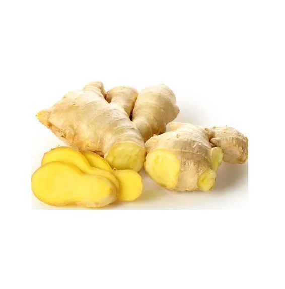 Best Quality Hot Sale Price fresh organic natural ginger / new crop fresh ginger