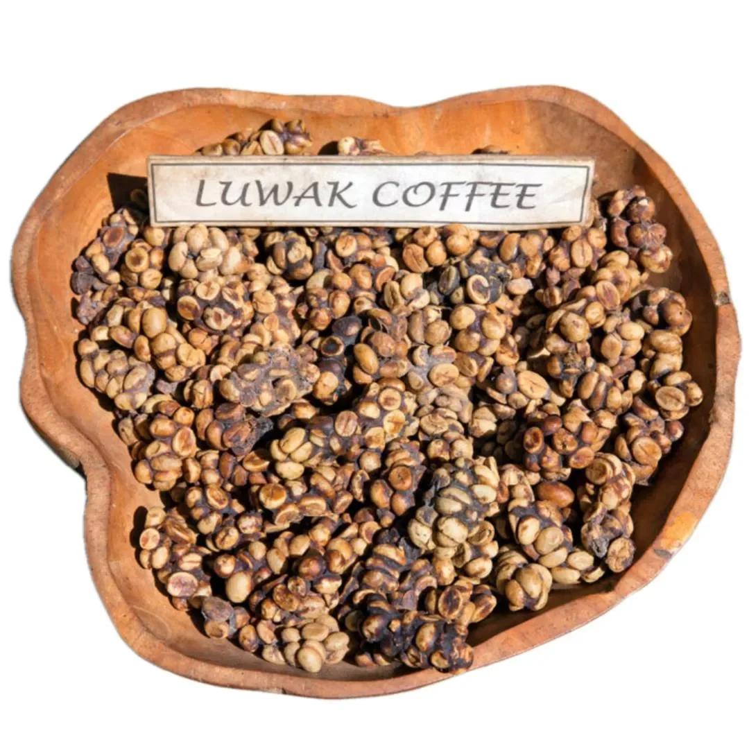 Kopi Luwak Coffee Price / Wild Coffee Luwak  /  Civet Kopi Luwak
