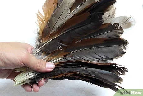 Top sale 100% High quality natural feather duster feather broom for household window car cleaning from Vietnam