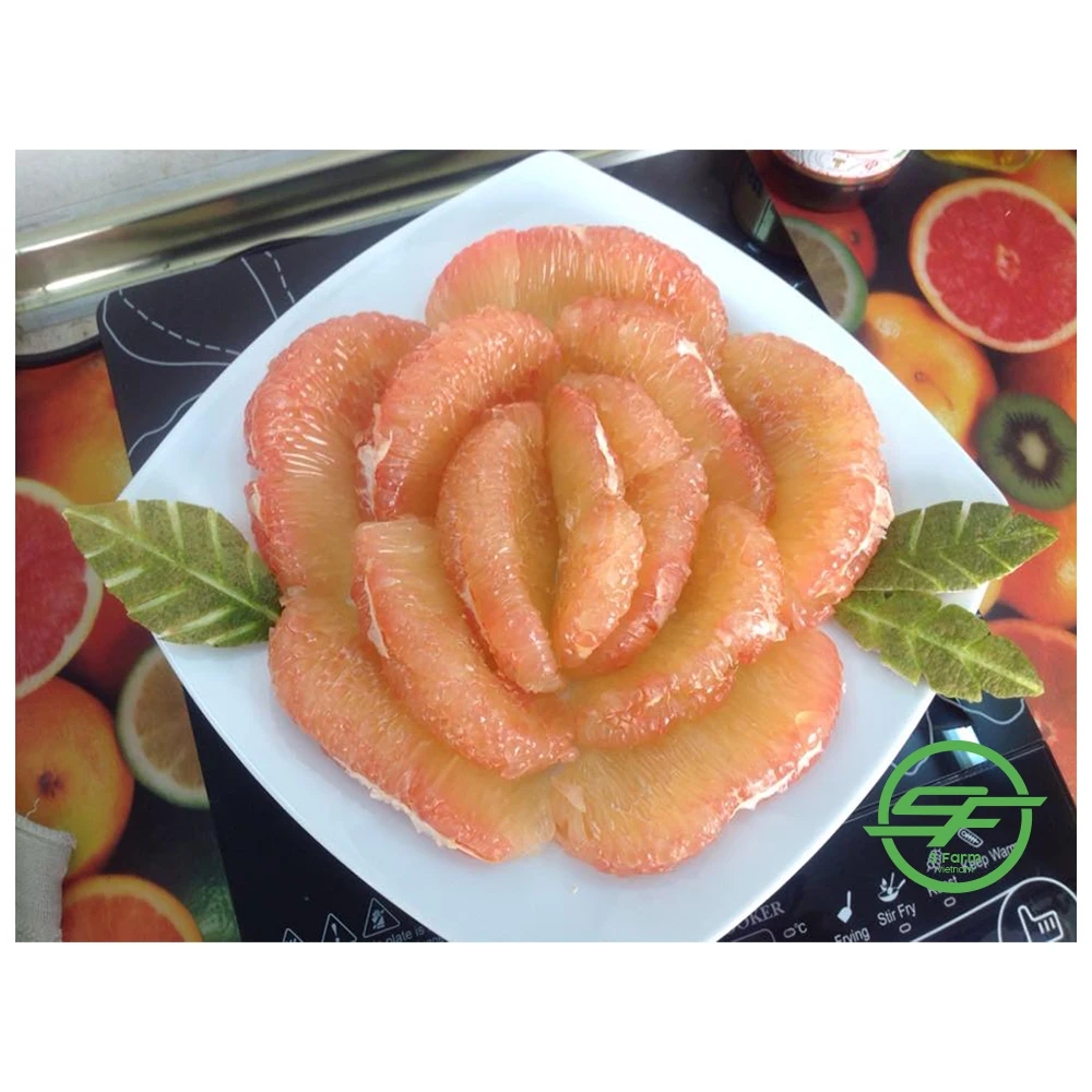 Wholesale Best Price Special Cuisine Organic Cultivation Type Green Grapefruit With Sweet Flavor From Vietnam