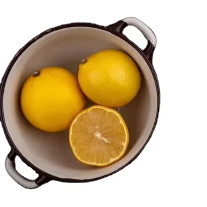 Vietnam 2024 New Crop Organic Seedless Lime Lemon Fresh Sweet Citrus without Seeds Competitive Price