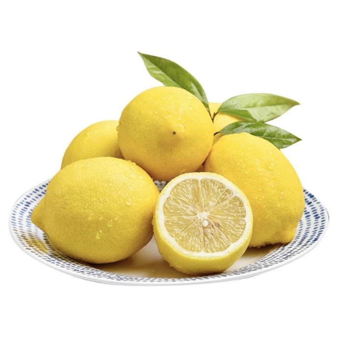 Quality Grade Natural 100% Fresh Lemon Hot Selling Green Lemon / Fresh Citrus Fruit Buy Wholesale FRESH LEMON fruits