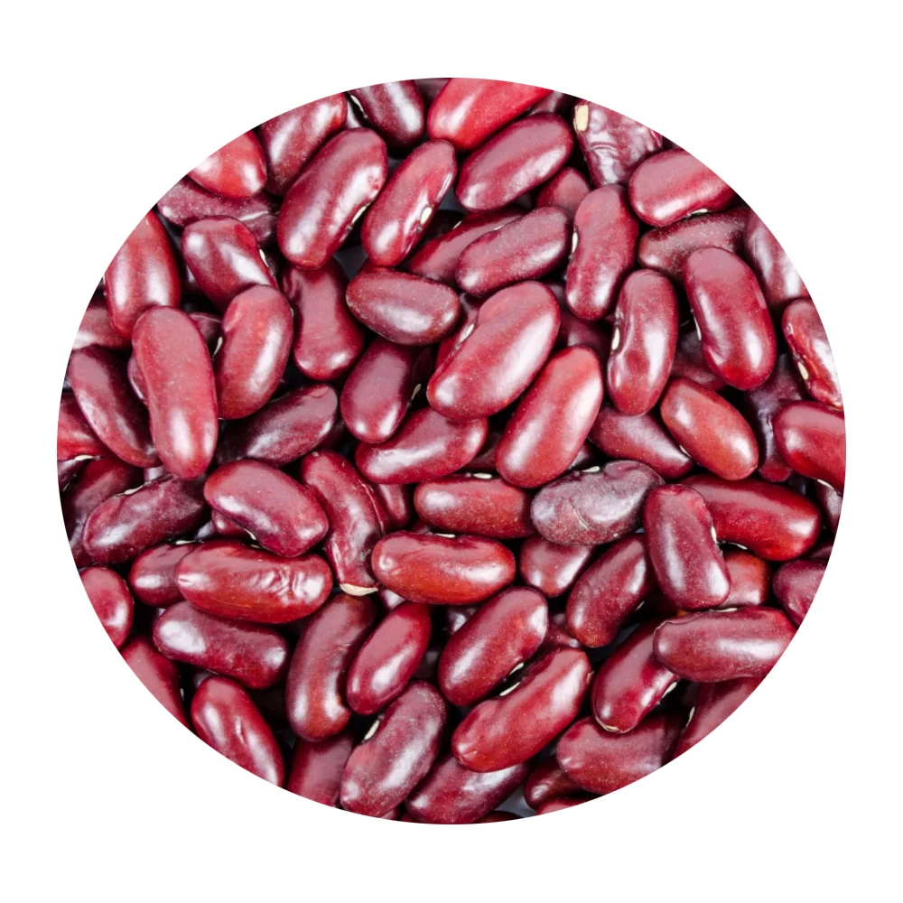 Non-GMO Good price High Grade Natural Bulk Dried Red Kidney Beans from Uzbekistan Dry Royal Red Beans for Food