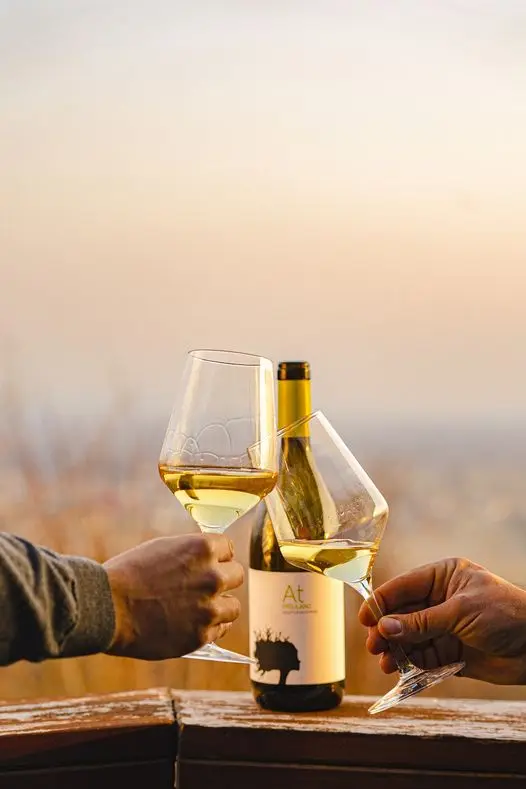 Высококачественный Итальянский биодинамический Refosco Dal Peduncul красный 75 Cl