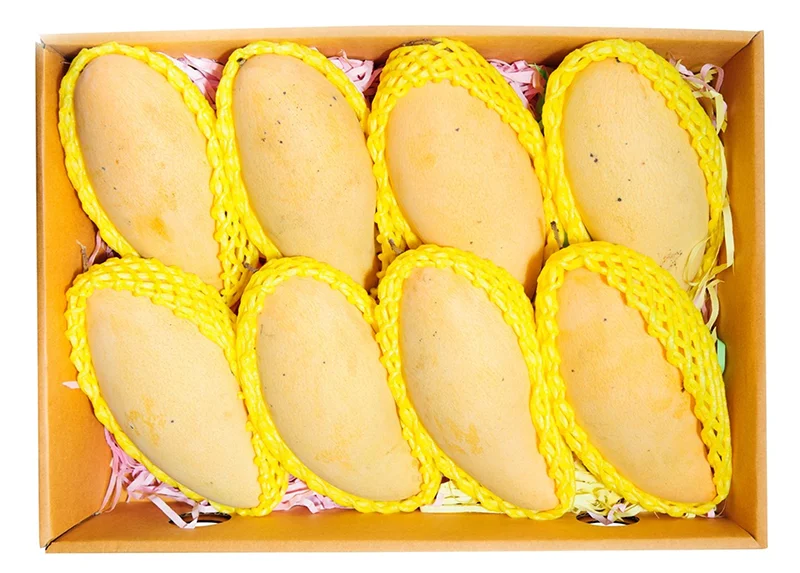 Export fresh quality Pakistani Mango Sindhri Fresh Mango from Pakistan OEM ODM customization logo for mango