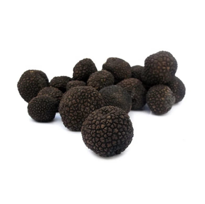 Discount Fresh black truffle hooked black truffle mushrooms