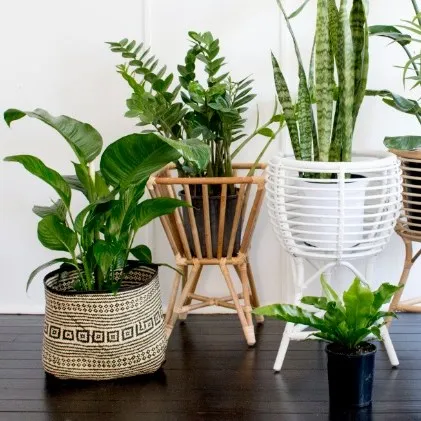 Rattan Plant Stand Flower Pot Holder Handmade From Vietnam
