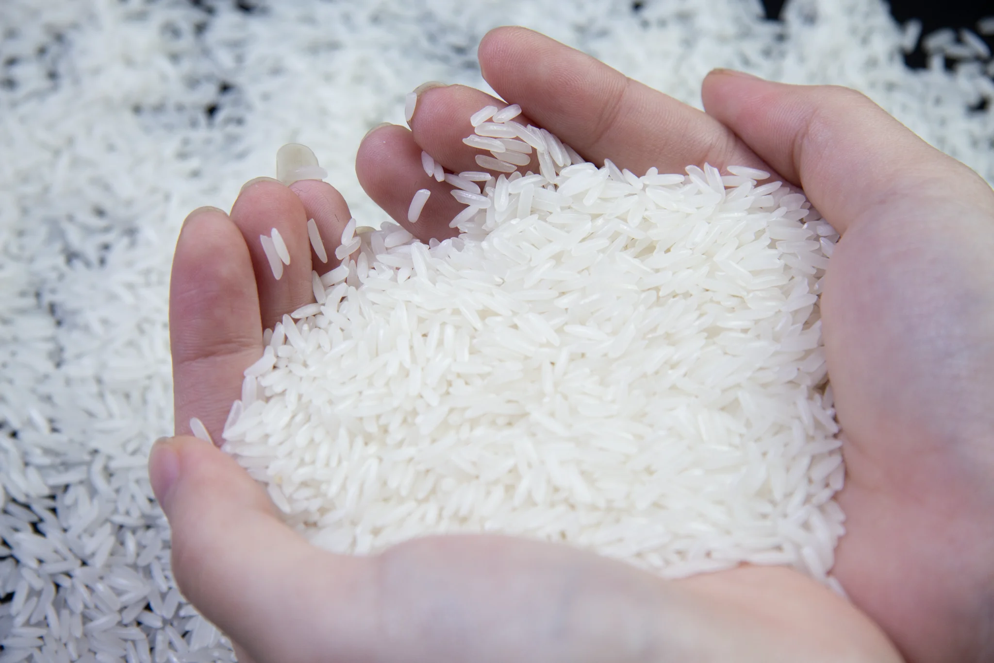 Cheap price new crop of fragrant jasmine rice with 5% broken for wholesale OEM from Vietnam